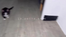 Onlyfans La Petite Ange